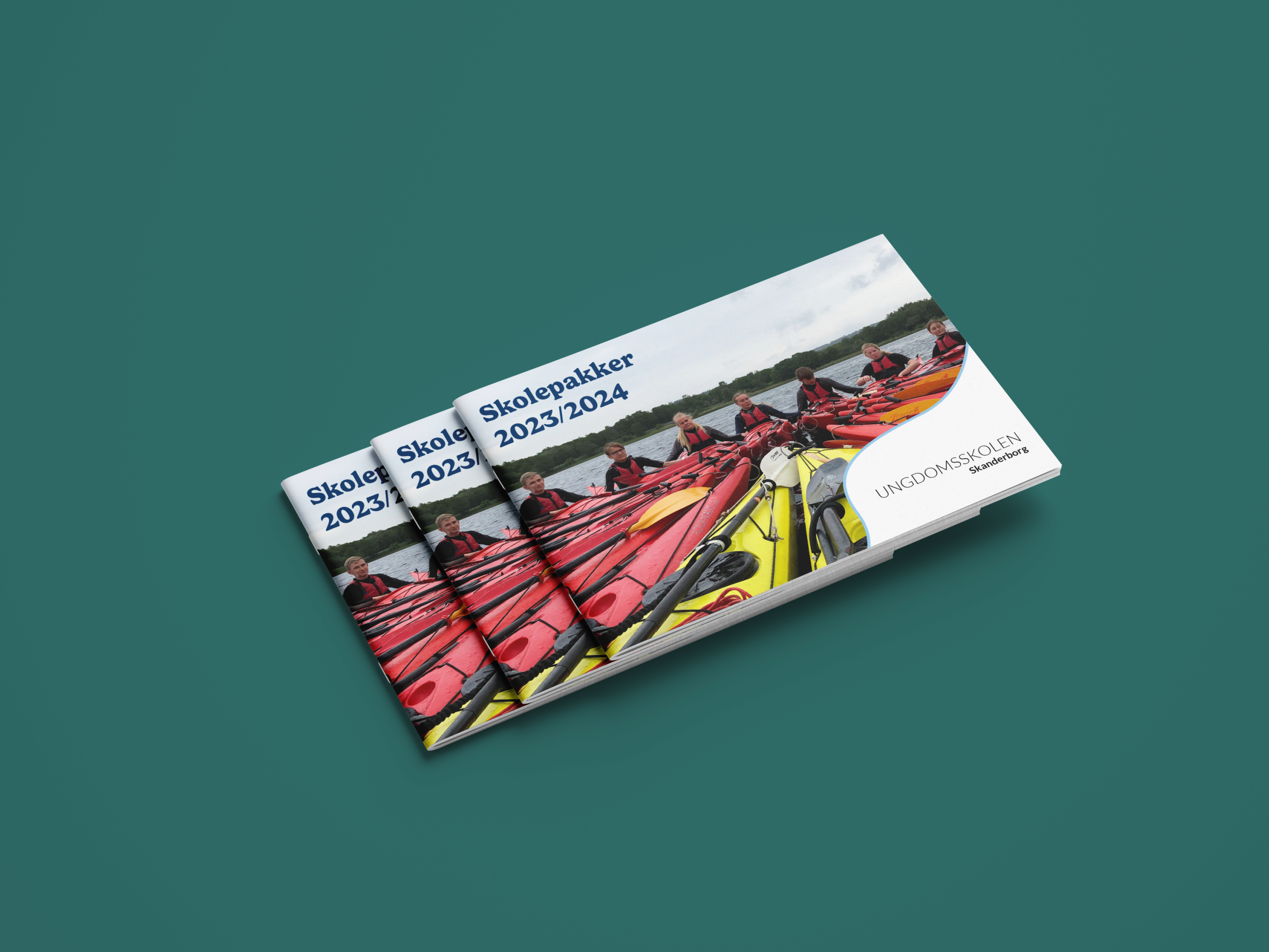 Read more about the article Skanderborg Ungdomsskole – Katalog